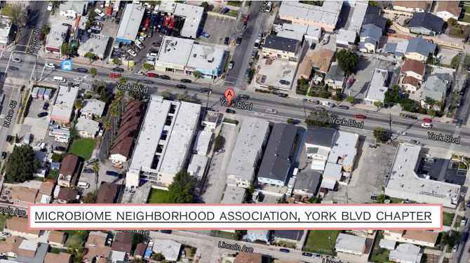 Satellite view of the York Boulevard Microbiome Neighborhood Association, Kristina Ortega.